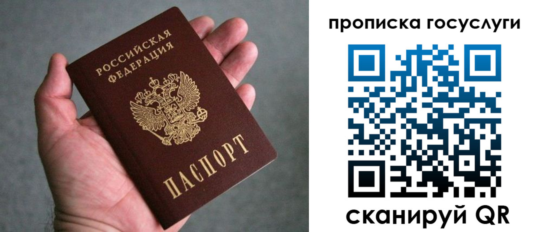 прописка 2025 в Новосибирской области